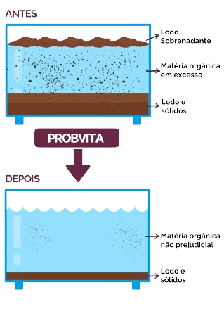 Desenho_Funcionamento_Probvita-removebg-preview