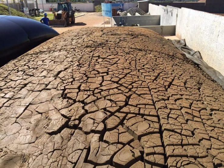 Lodo biológico de ETE desidratando ao sol após tratamento.