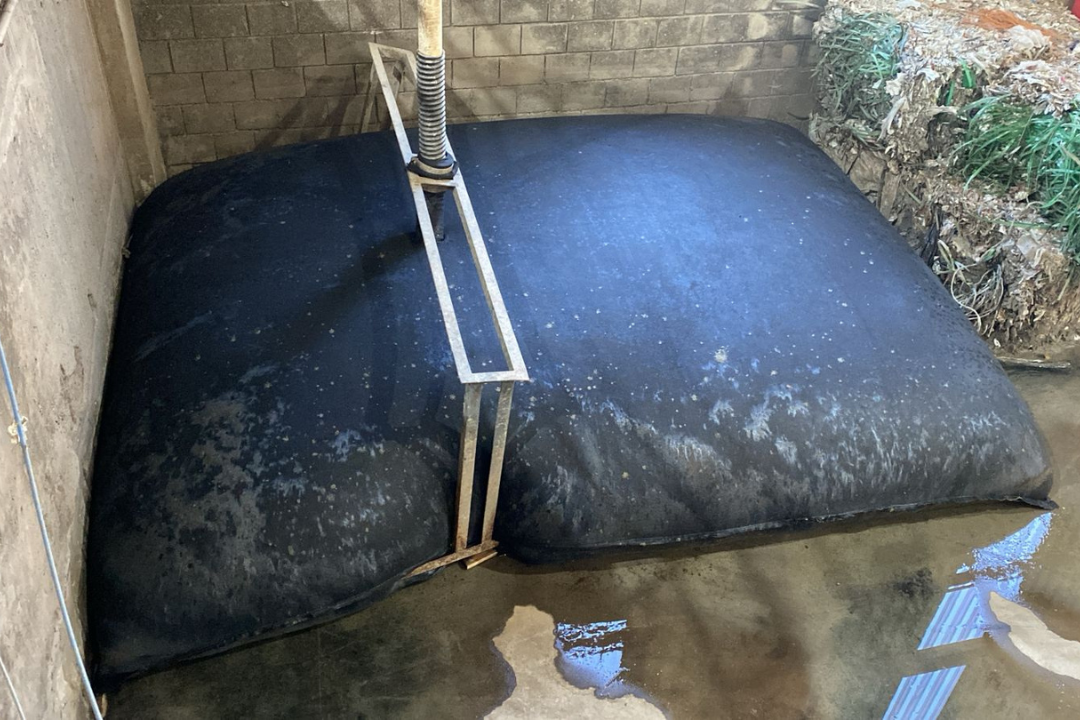 Bag Horizontal para Desidratação