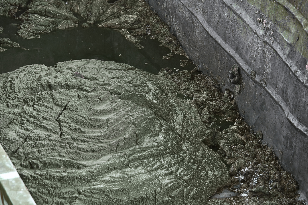 Normas para descarte de Lodo