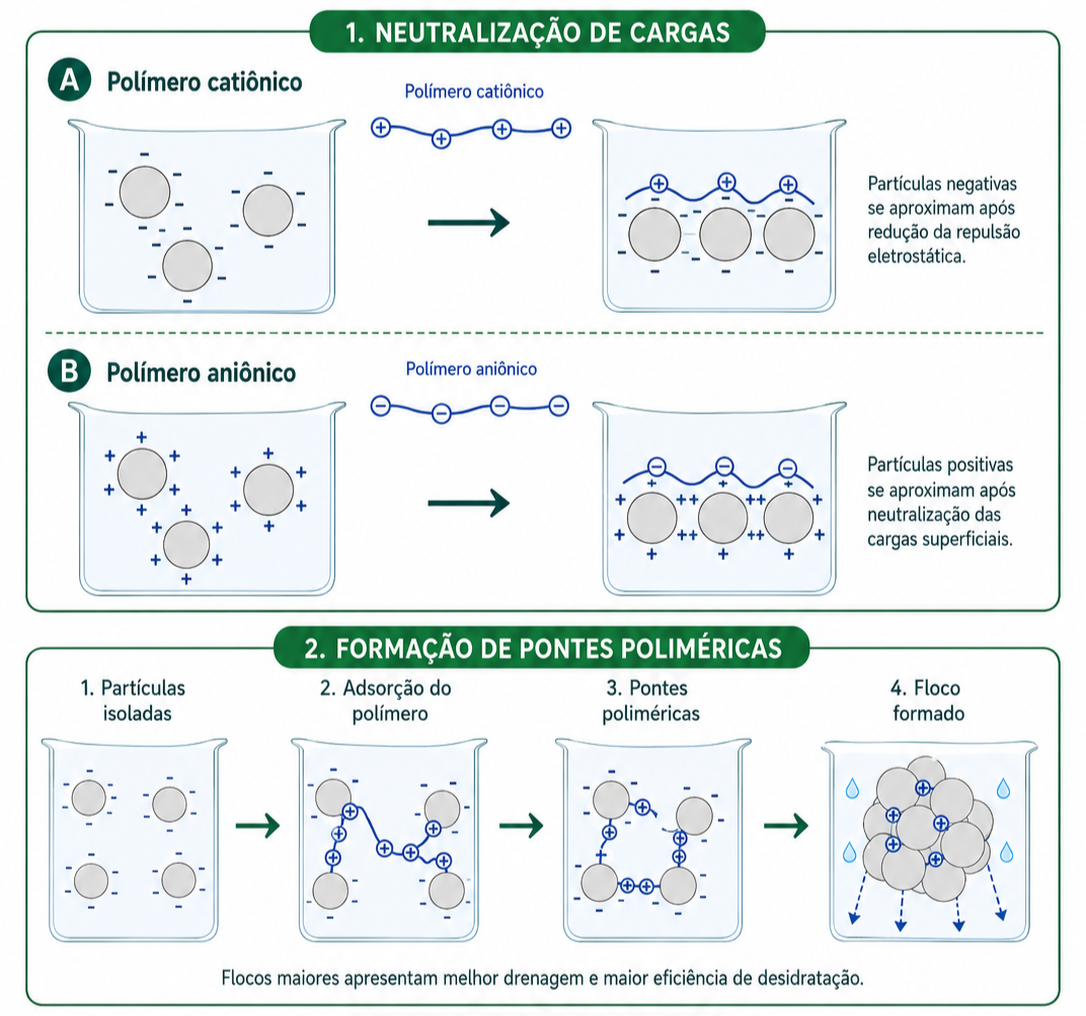 mecanismos de atuação